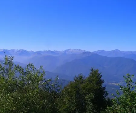 Les Myrtilles