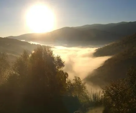 Les Myrtilles Le Bosc (Midi-Pyrenees)